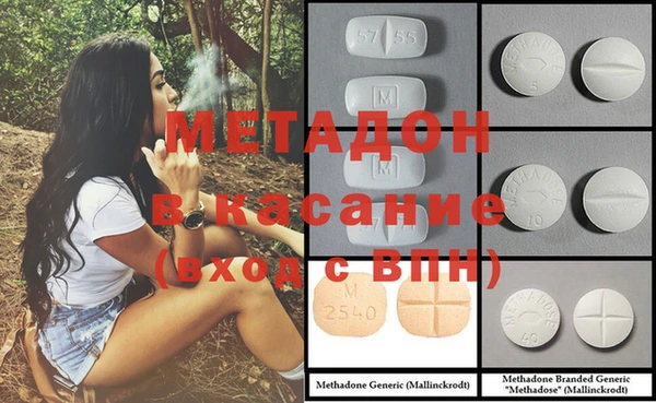 дмт Богданович
