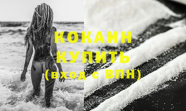spice Богородицк