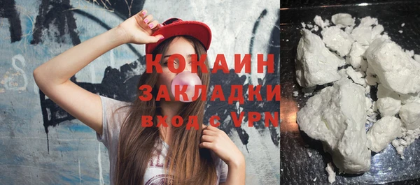 spice Богородицк