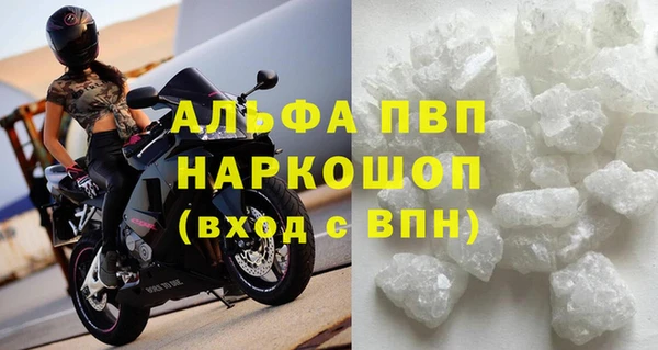 дмт Богданович