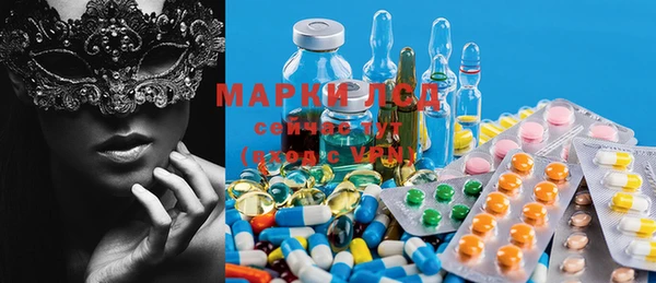 spice Богородицк