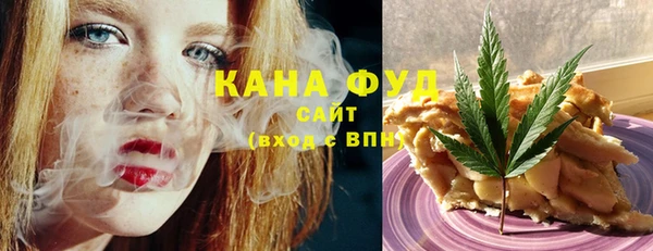 spice Богородицк