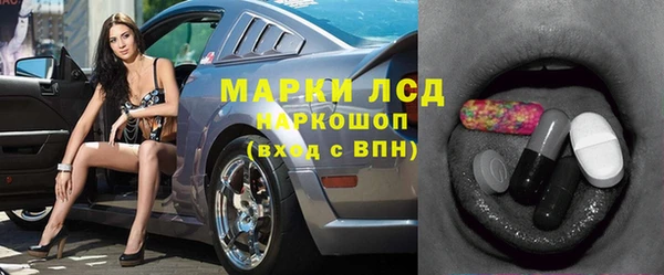 spice Богородицк