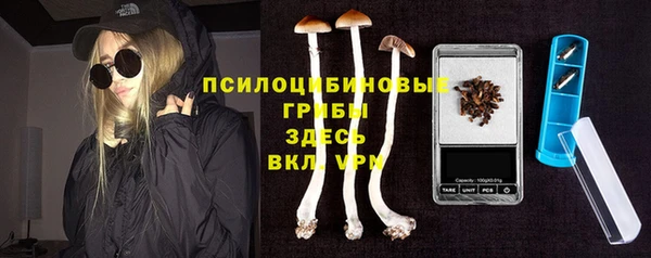 spice Богородицк