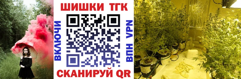 хочу наркоту  блэк спрут как войти  Шишки марихуана THC 21%  Торопец 